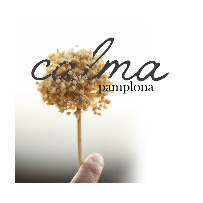 Calma Pamplona — identidad de marca